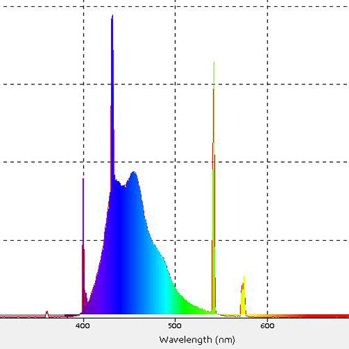 Reef Brite 24 Watt T5 HO Actinic Blue