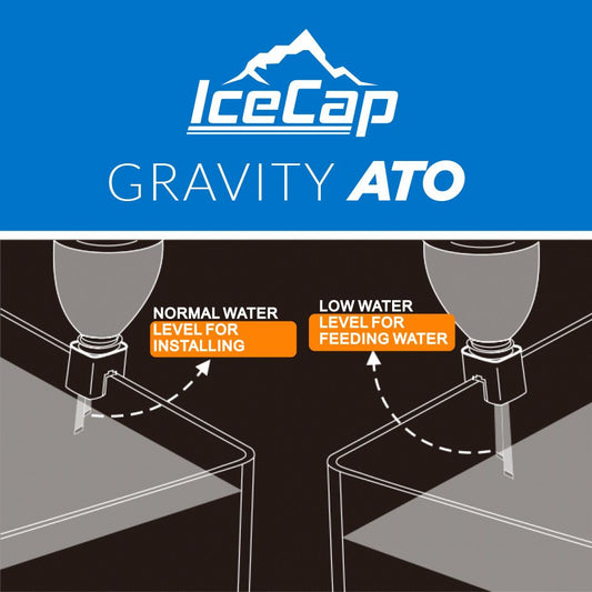 ceCap Gravity ATO