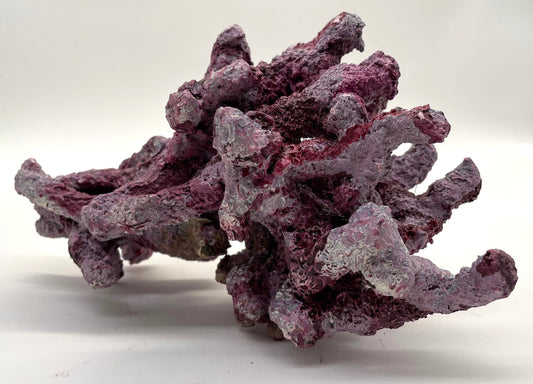 Tropic Eden Morroca Irregular Rock - Medium - ONE Piece (approx 4lbs)