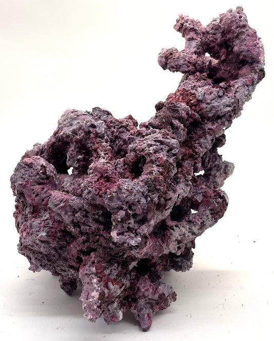 Tropic Eden Morroca Irregular Rock 1 Extension - Med - ONE Piece (4.1-4.8lbs)