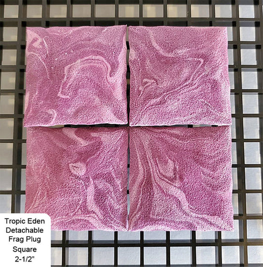 Tropic Eden Detachable Coral Frag Plug Square 2.5" (6/pack)