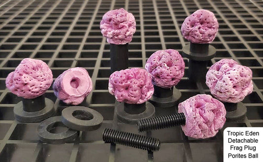 Tropic Eden Detachable Coral Frag Plug - PORITES (6/pack)