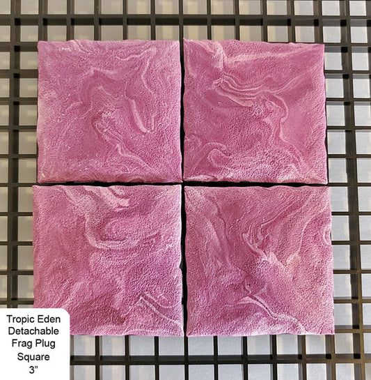 Tropic Eden Detachable Coral Frag Plug Square - 3" (4/pack)