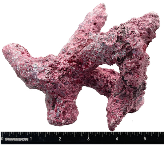 Tropic Eden Morroca Branch Rock - Tripod Regular 6"-8"