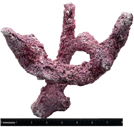 Tropic Eden Morroca Branch Rock - Tripod Regular 8"-10"