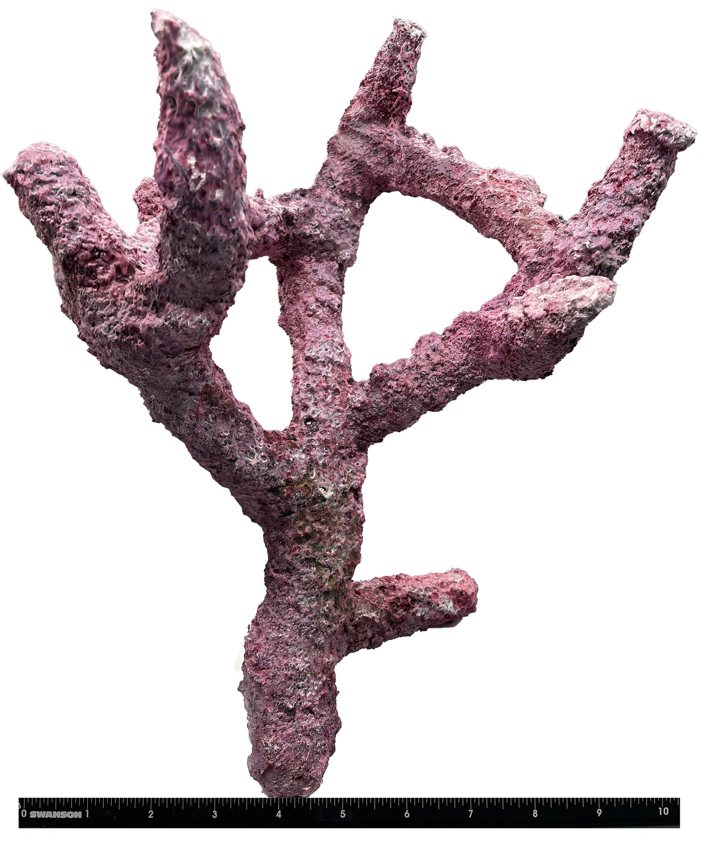 Tropic Eden Morroca Branch Rock - Tripod Long Stem 12"- 14"