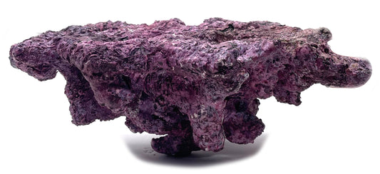 Tropic Eden Morroca Rock - Foundation Reef - Large - ONE Piece (approx 2lbs)