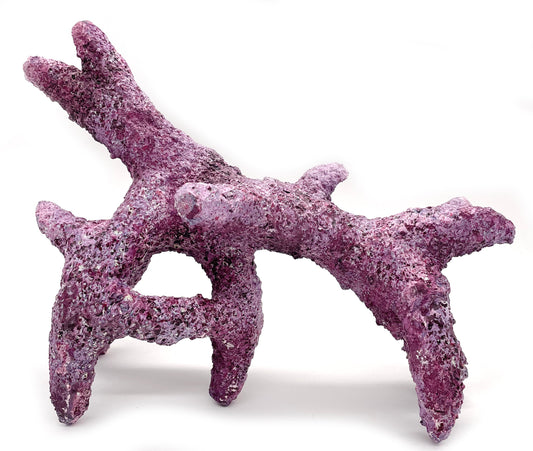 Tropic Eden Morroca Rock - Kraken Branch 14"-15" ONE Piece Approx 4 lbs