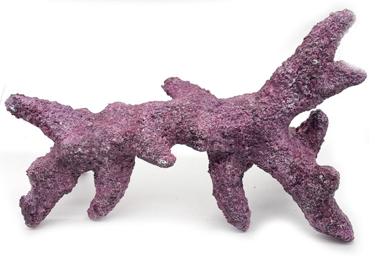 Tropic Eden Morroca Rock - Kraken Branch 17"-19" ONE Piece Approx 6 lbs