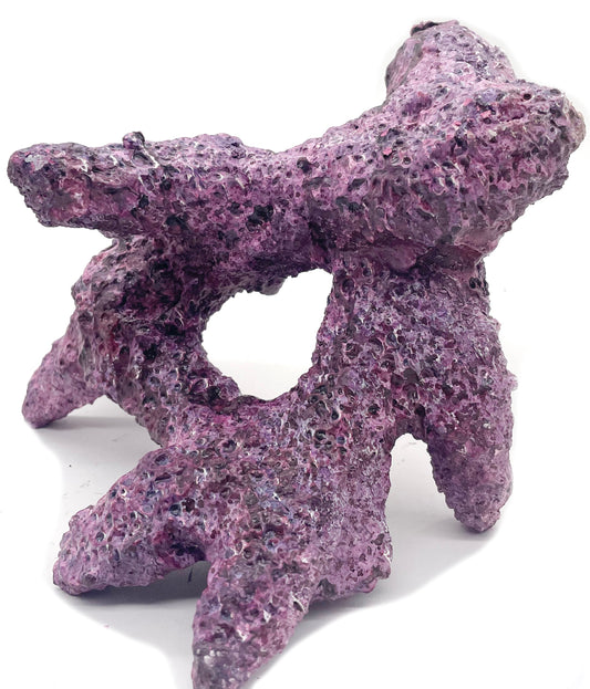 Tropic Eden Morroca Rock - Irregular Branch 8-10" (approx 2lbs)