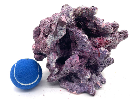 Tropic Eden Morroca Irregular Reef Rock - Medium - SIX Pieces Rock Box (approx 27lbs)