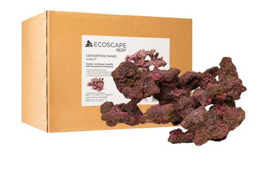 Ecoscape Reef Centerpiece 07
