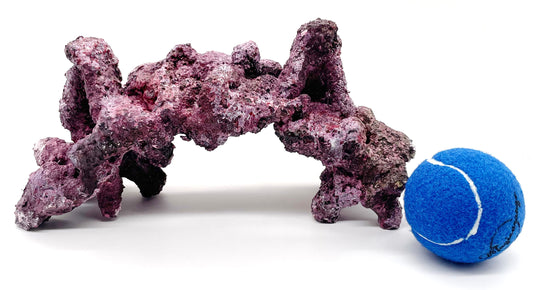 Tropic Eden Morroca Rock - Twin Peak Cave - One Piece (2.25-2.5lbs)