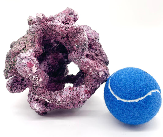 Tropic Eden Morroca Reef Cradle Rock - Small ONE Piece (1.8 - 2.4 lbs)