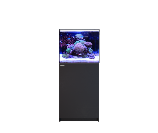 Red Sea REEFER 170 G3 Black