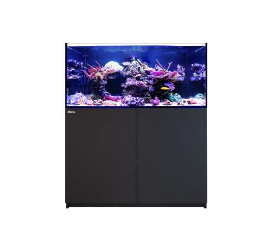 Red Sea REEFER 350 G3 Black