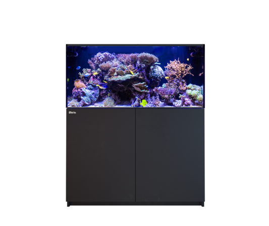 Red Sea REEFER 425 G3 Black