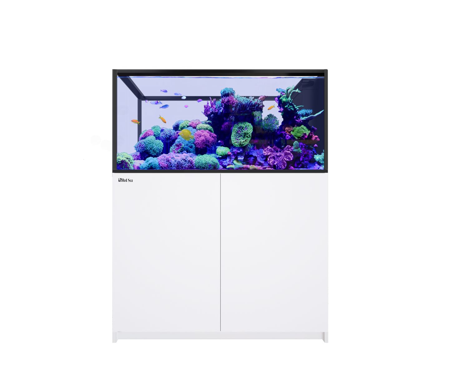 Red Sea REEFER Peninsula 500 G3 White