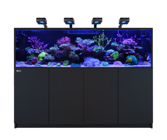 Red Sea REEFER S-1000 G3 Deluxe - Black (incl. 4 X RL170 & arms)