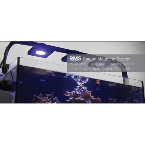 Ecotech Multi-Light RMS Track (A) 20.5 in