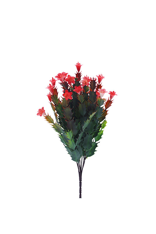 Naturescapes Desert Flower