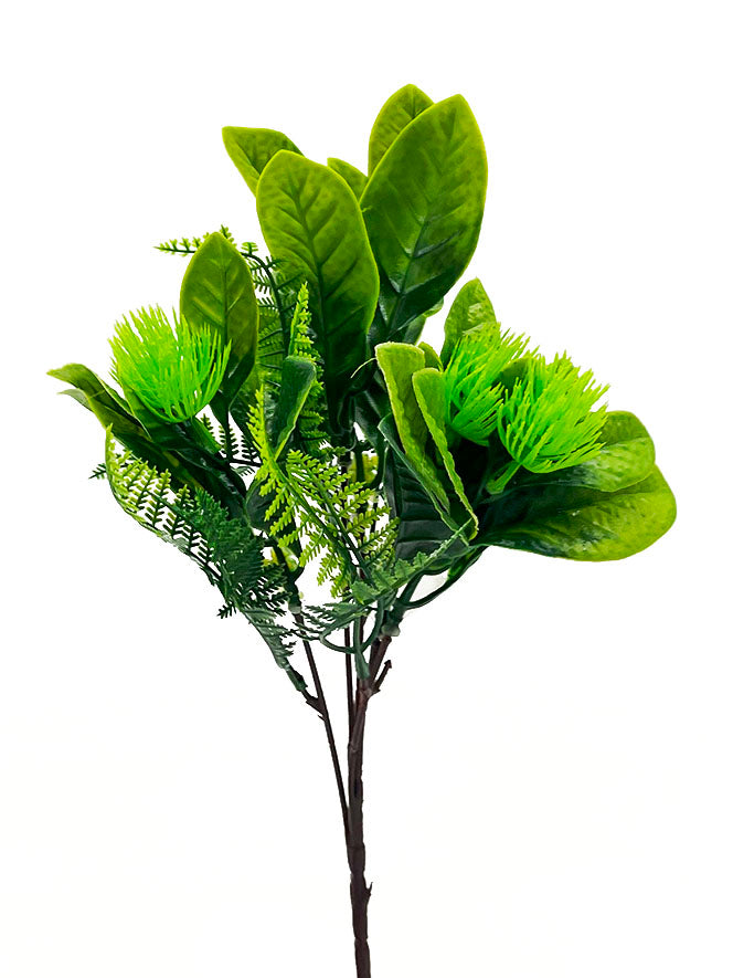 Naturescapes Magnolia Fern
