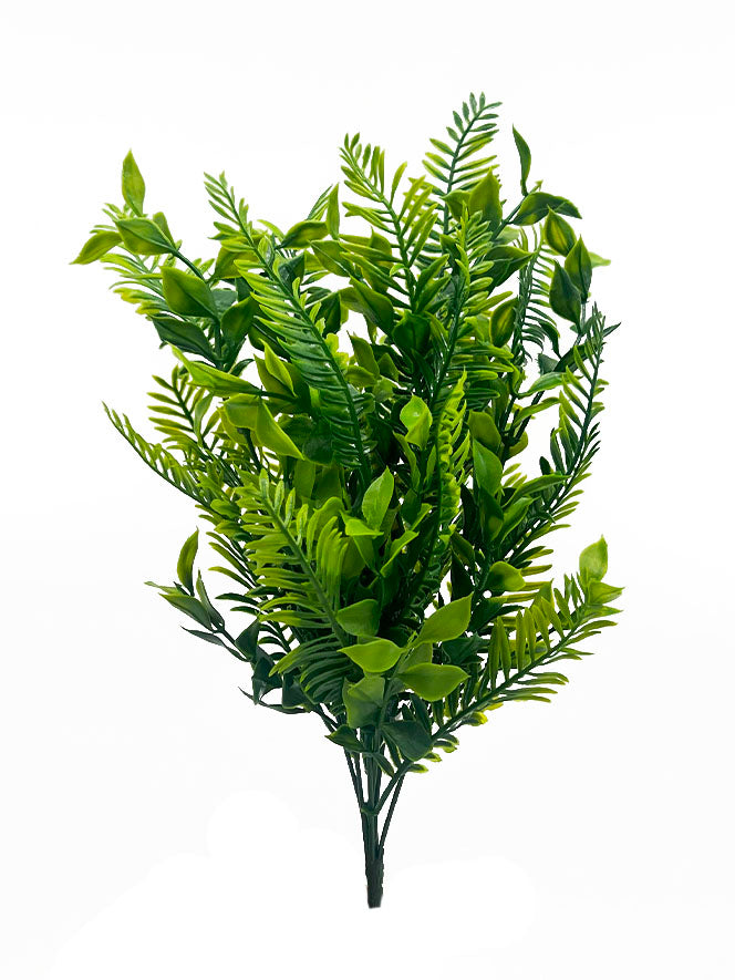 Naturescapes Boxwood Fern