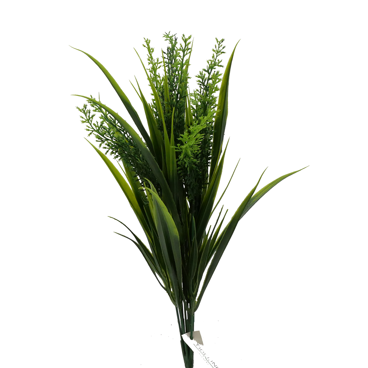 Naturescapes Medium Amaranth Grass