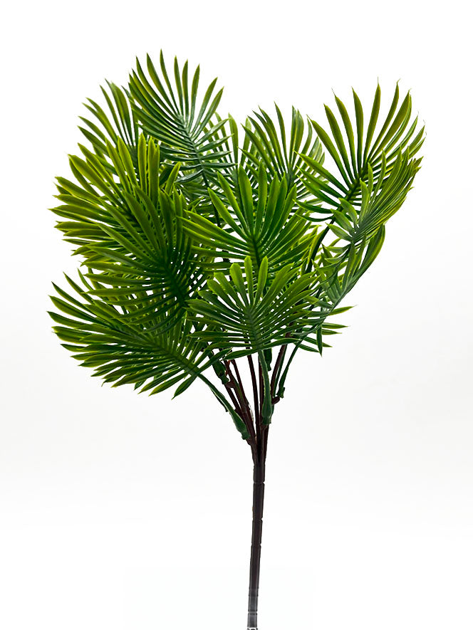 Naturescapes Palm Bush