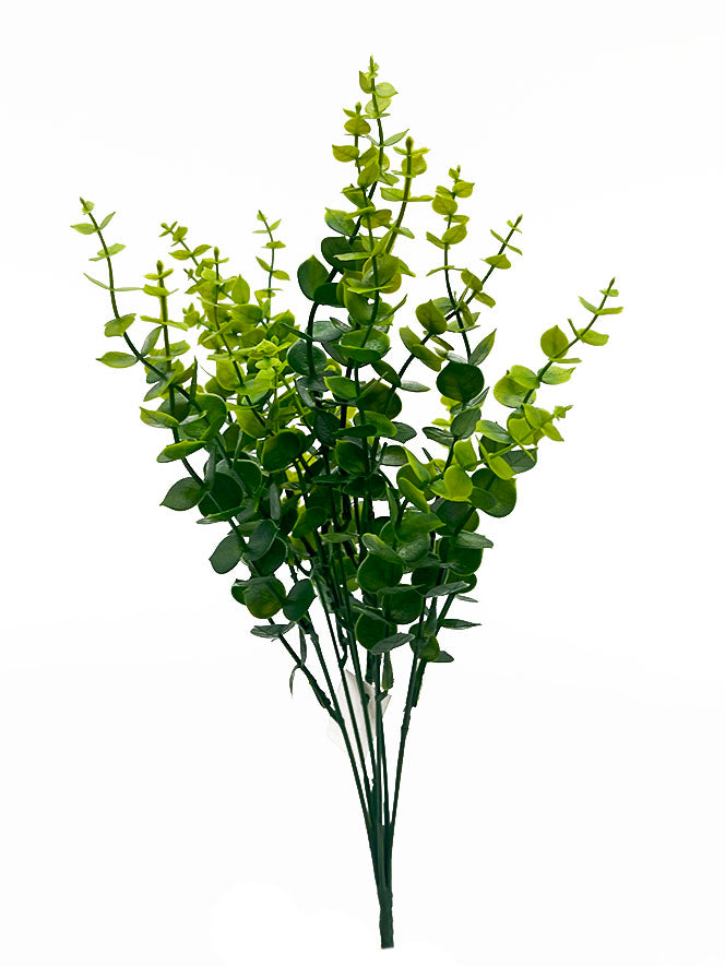 Naturescapes Mini Eucalyptus