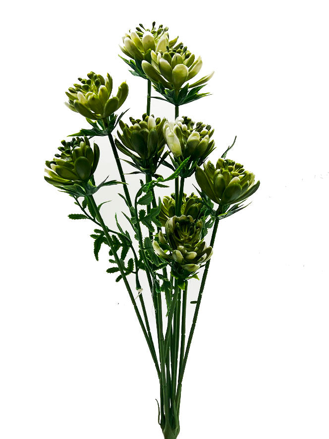 Naturescapes Gem Lotus