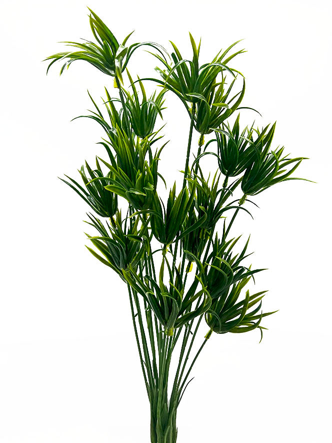 Naturescapes Papyrus