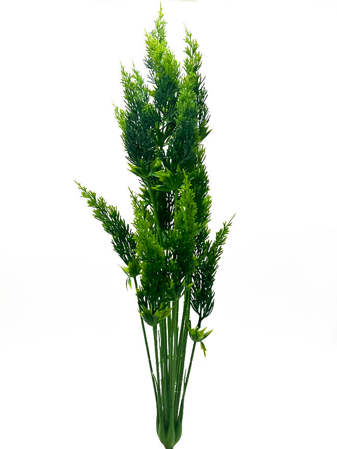 Naturescapes Pampas