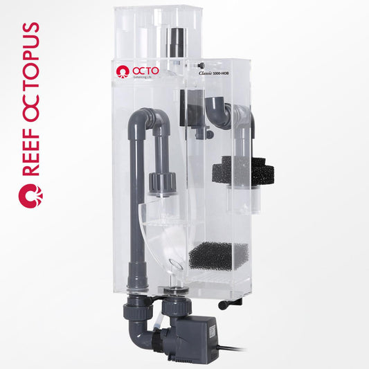 Reef Octopus Classic