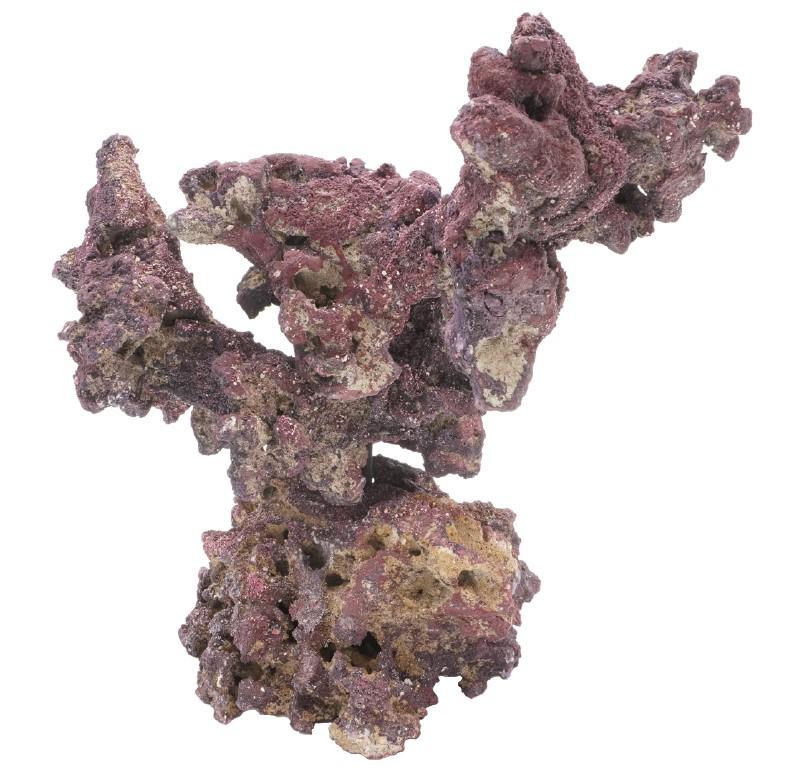 Caribsea Reef Tree