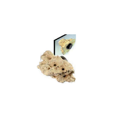 Tunze Coral Rock - Nano
