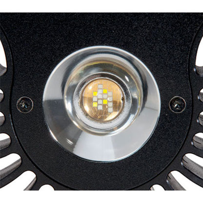 Kessil A80 Tuna Sun LED Light