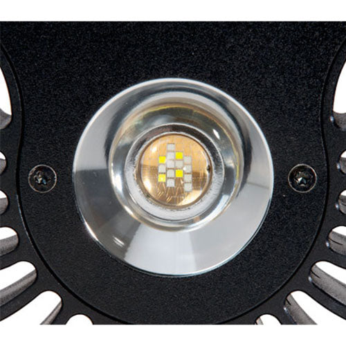 Kessil A80 Tuna Sun LED Light