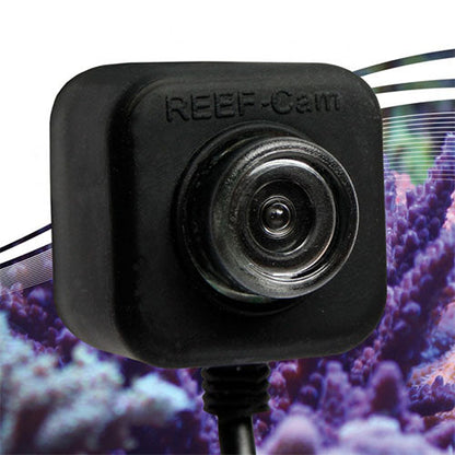 Icecap Reef Cam Lens Jacket