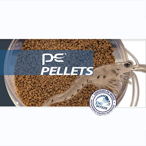 Piscine Energetics Saltwater 1mm (pouch) - 2oz / 56g