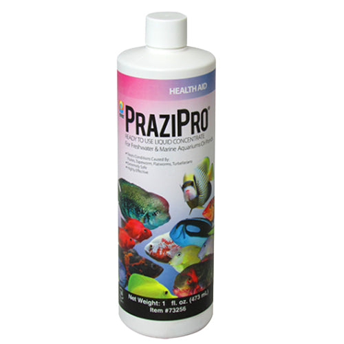 Hikari Prazipro 1oz