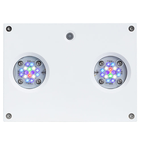 AI Hydra 32 HD LED Module - White