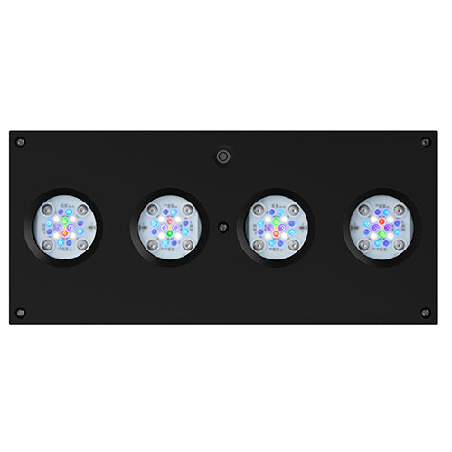 AI Hydra 64 HD LED Module - Black