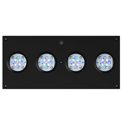 AI Hydra 64 HD LED Module - Black