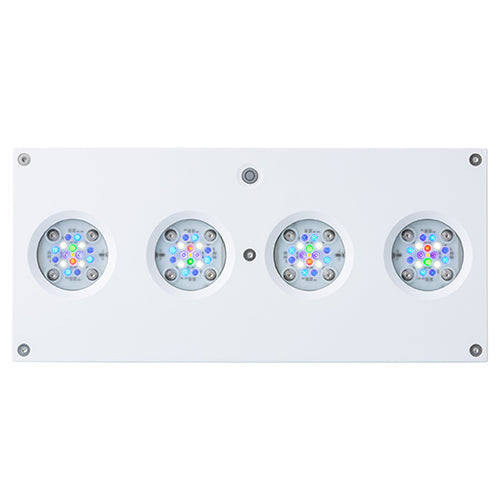AI Hydra 64 HD LED Module - White