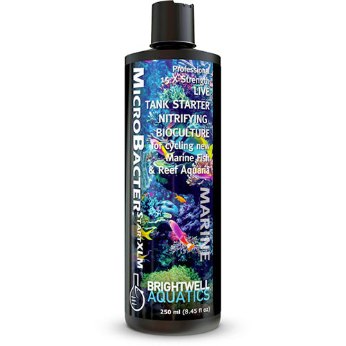Brightwell MicroBacterSTARTXLM - Professional 15X Strong Nitrifying Tank Starter Bacteria Culture - 250 ml /8.5 fl. oz.