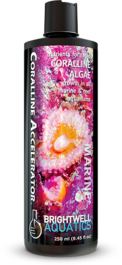 Brightwell Aquatics Coralline Accelerator - 250 ml