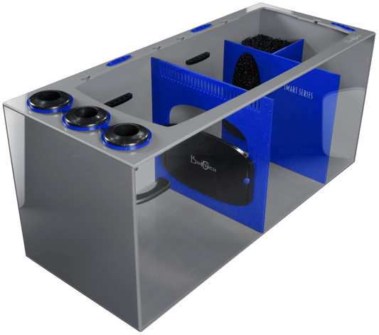 Bashsea Smart Series 36x15x16 Sump - BLUE