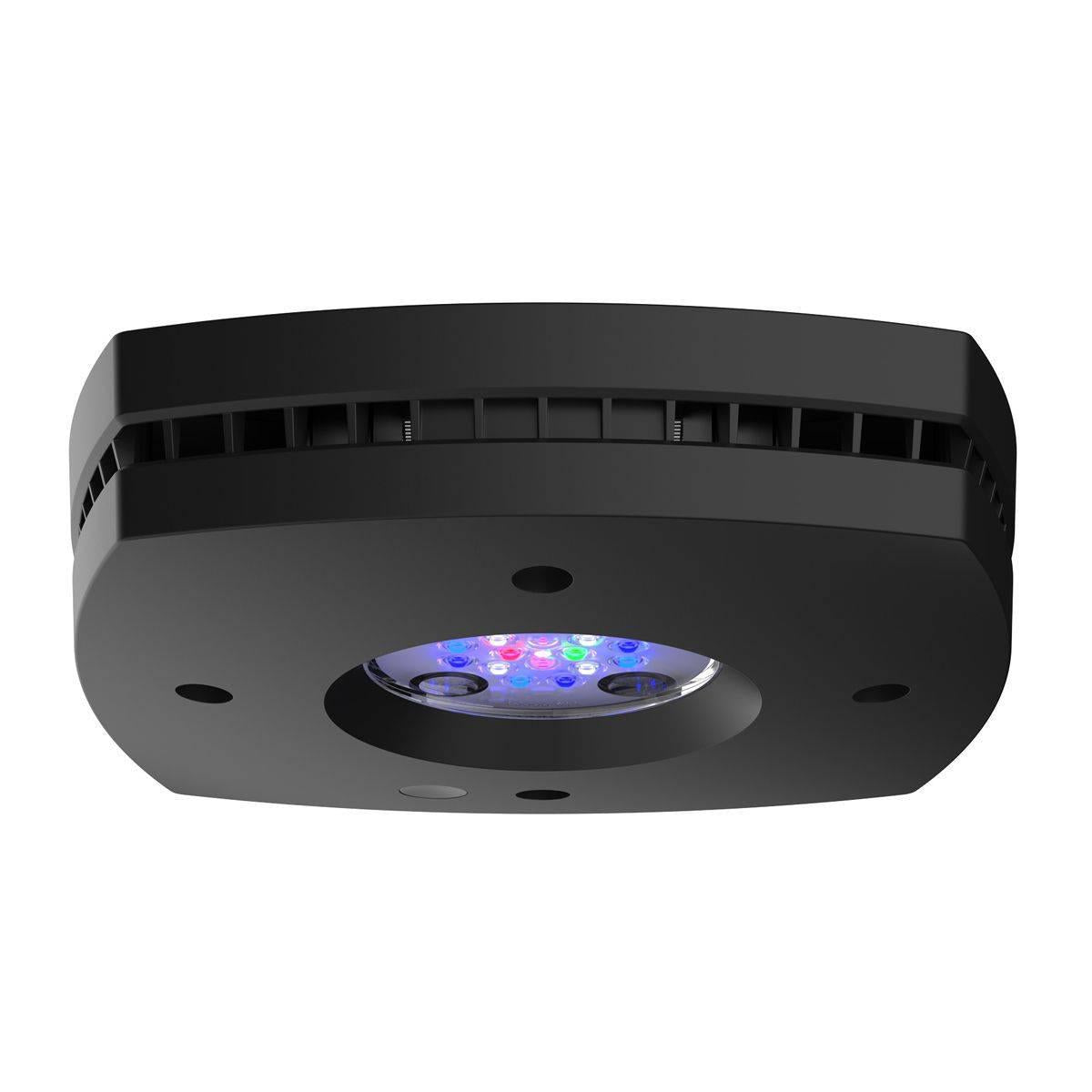AI Prime 16 HD