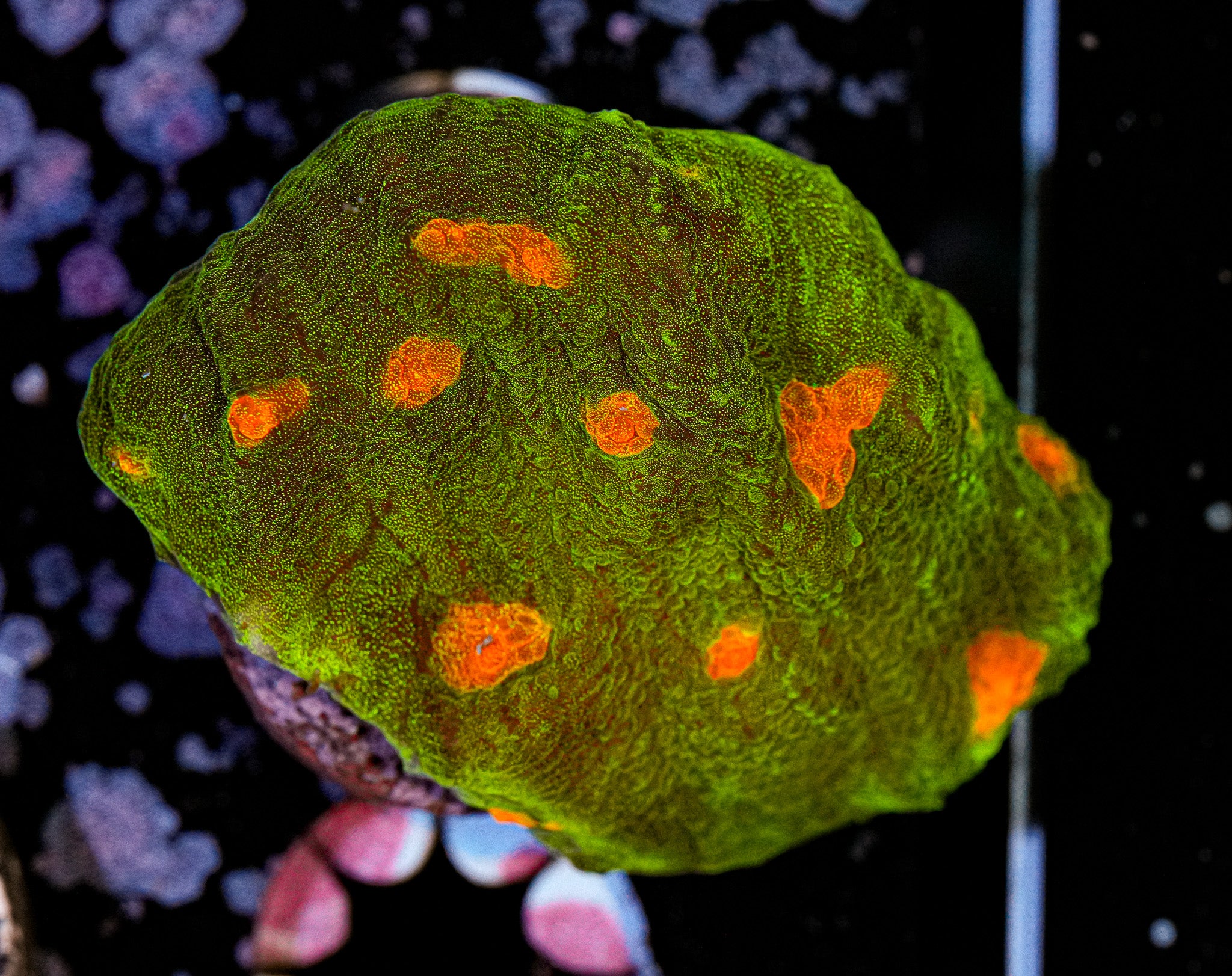 Space Invader Chalice 2